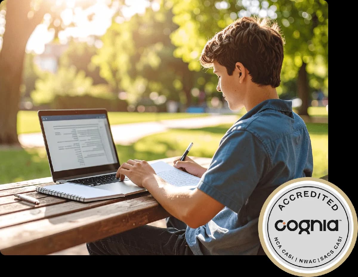 Online Grade Overview